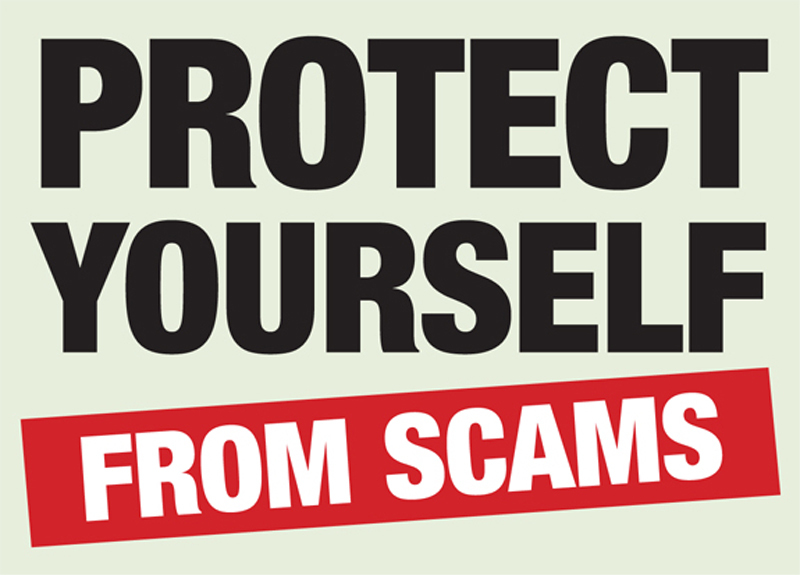 Protect Yourself from Common  Prime Member Scams - network1