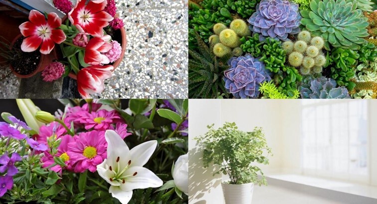 Artificial-Flower-Plants