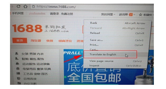 Domestic website in the Chinese language