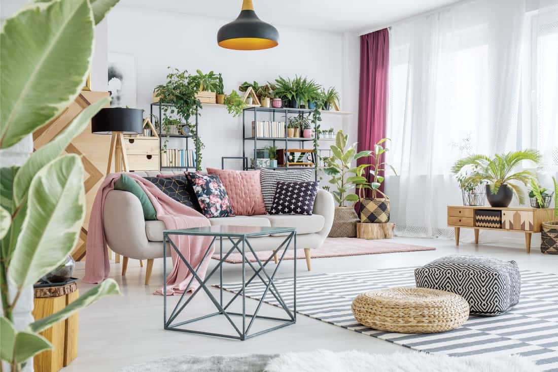 Poufs-on-striped-carpet-in-spacious-living-room-interior-with-plants-and-table-next-to-sofa-with-pillows.-plants-everywhere