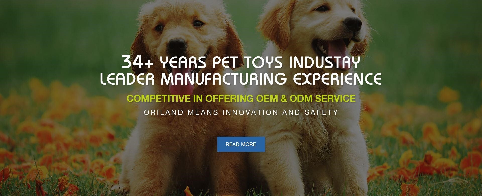 What are the BestSelling Pet Products in 202223? EJET