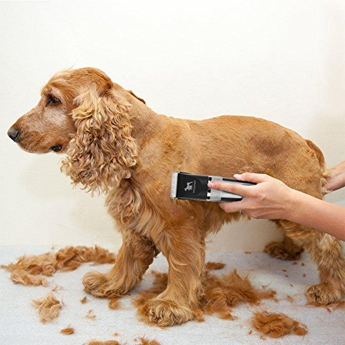 ideal pet grooming kit, ideal pet products 