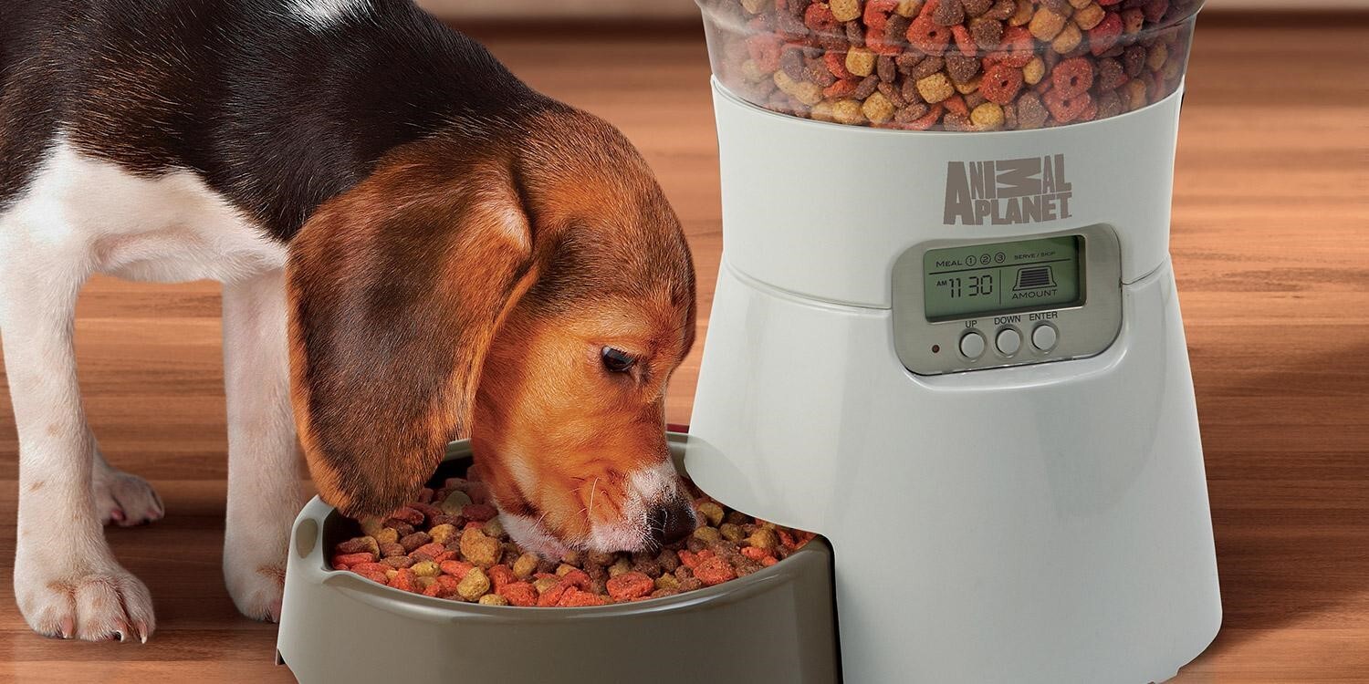 Electronic food device for dog