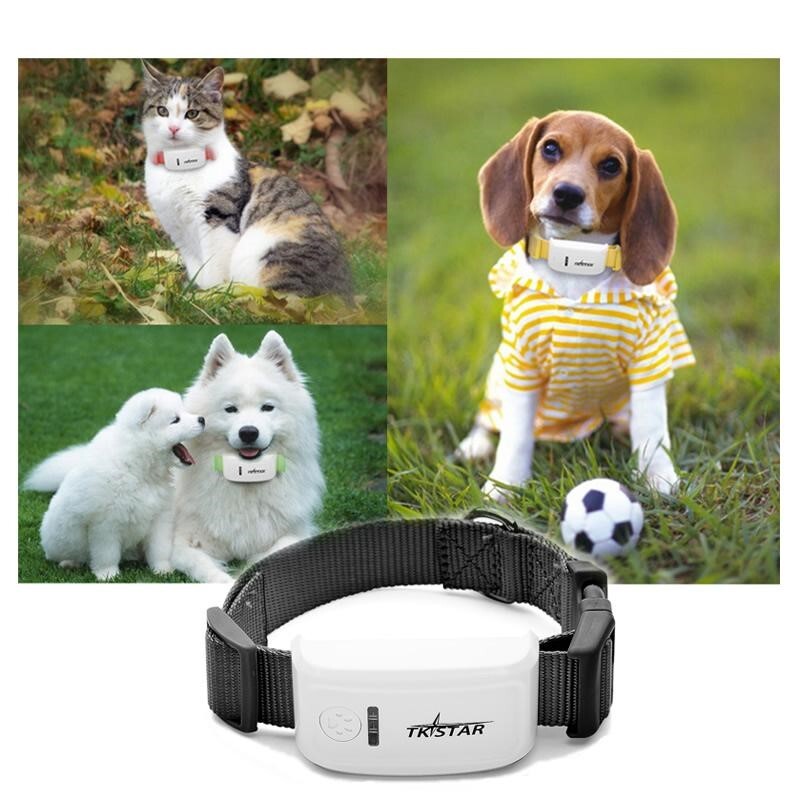 Pet tracking devices