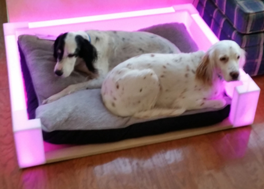 LED beds, wholesale dog bed