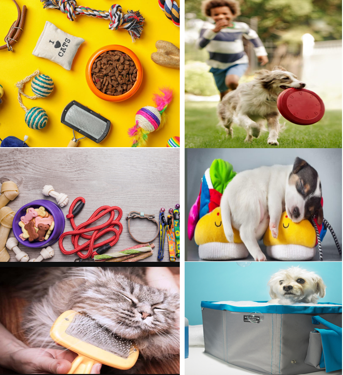 Detailed Process on How to Import China Pet Supplies Wholesale?