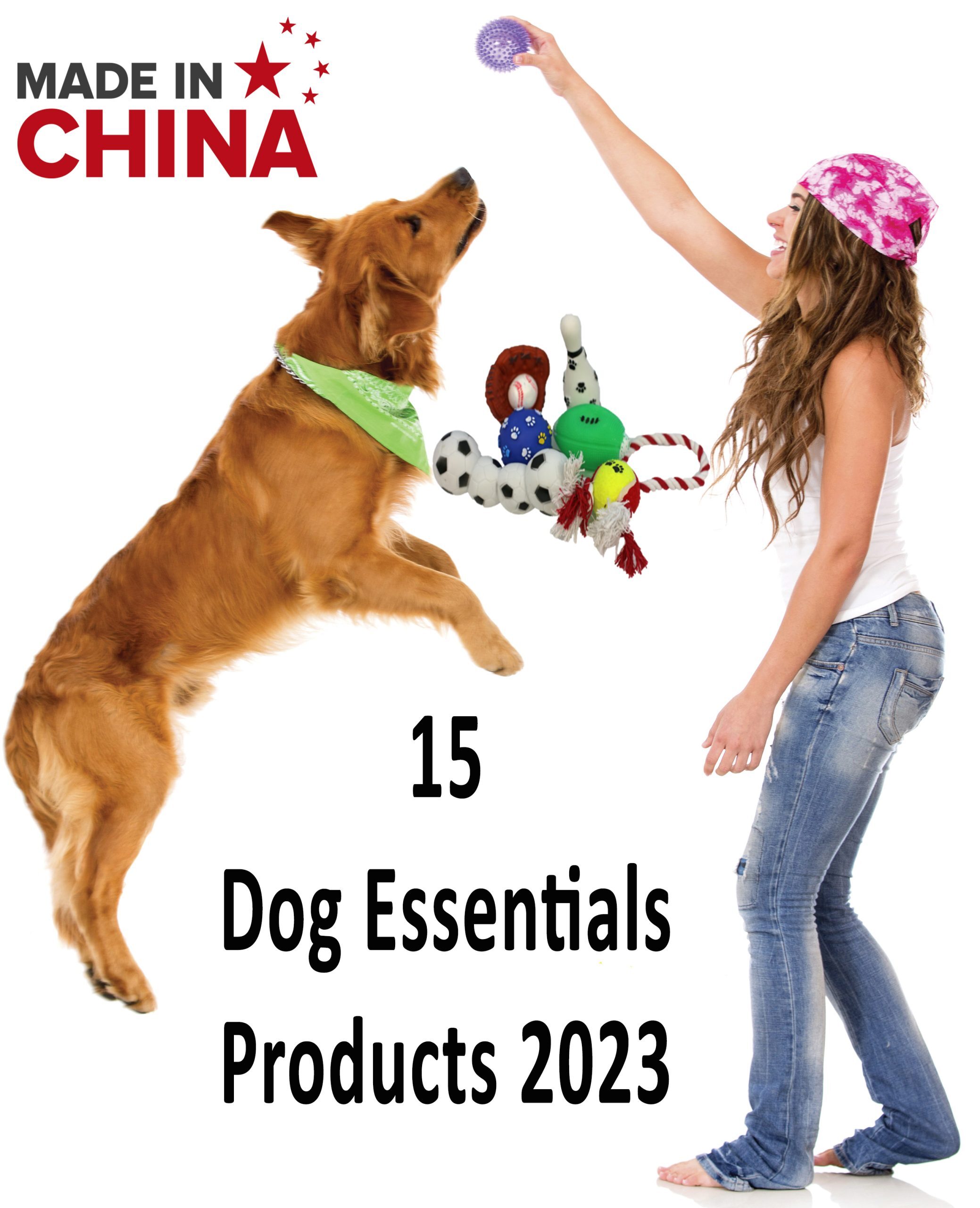 Dog essential products
