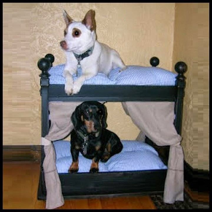 double dog bed, wholesale dog bed