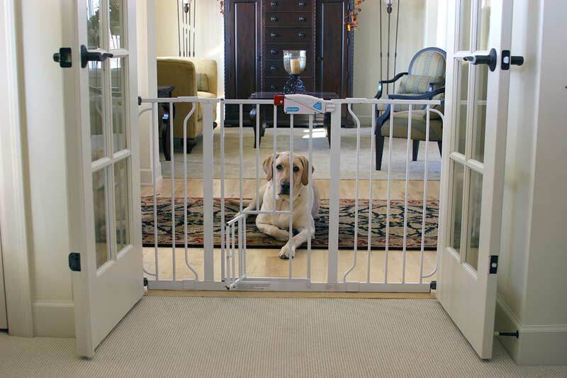 Baby Gate for Dogs