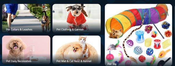 Common Pet Products Types