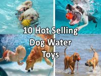 Dog Water Toys