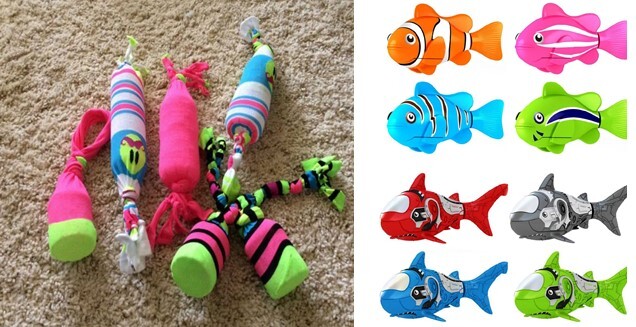 cool colors, vibrant colors, dog water toys