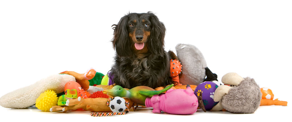 Dog Toys For Aggressive Chewers 2-8 Years Old - Squeaky Dog Toys