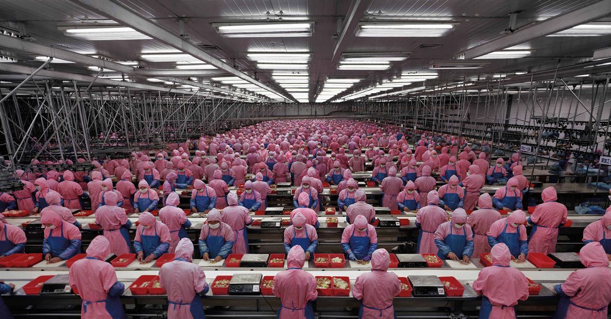 Chinese workers in Factory