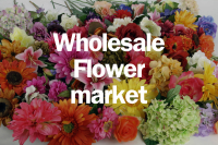 wholeSAle flower market near me